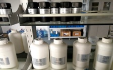  什么是氨氮總磷總氮？