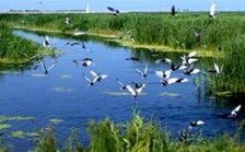  IPBES全球評估第三次作者會在德國召開